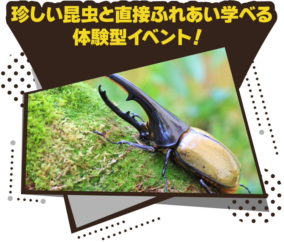 珍しい昆虫と直接ふれあい学べる体験型イベント!